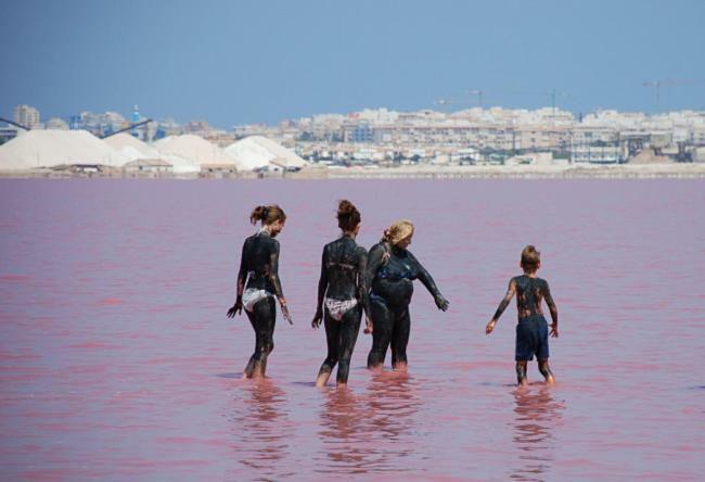 Torrevieja Apartment Zewnętrze zdjęcie